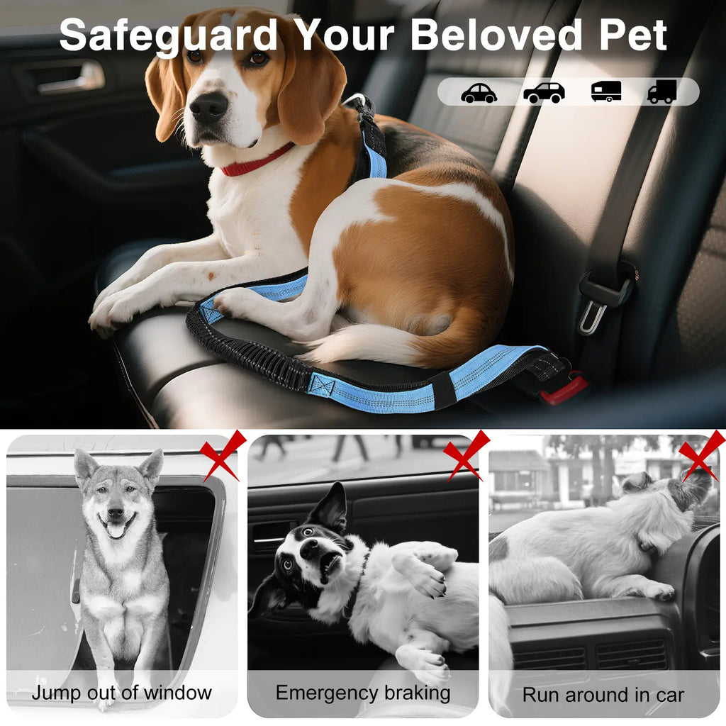 Pawaboo Hands-Free Dog Leash and Car Seatbelt - Shock-Absorbing Bungee Crossbody Design for Walking and Travel, Featuring Reflective Straps and 360° Lockable Safety Buckle