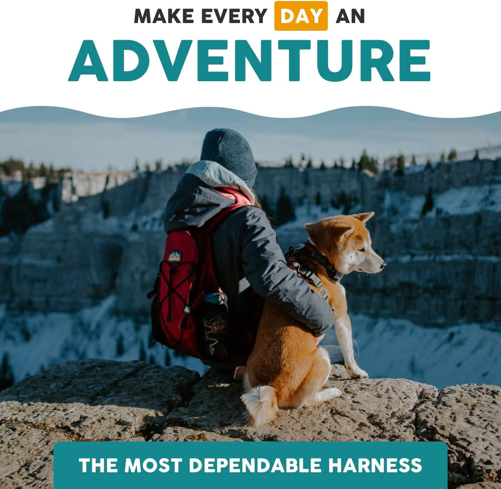 Embark Adventure Small Dog Harness - No-Pull Design, Reflective Trim, Military-Grade Nylon, Front Clip with Gel-Lined Handle