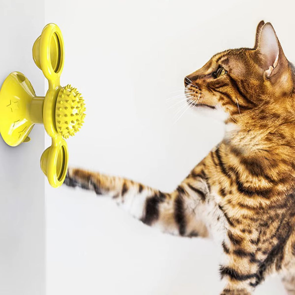 Multifunctional Interactive Cat Toy with Glowing Ball, Catnip, and Suction Cup Design for Play and Dental Care