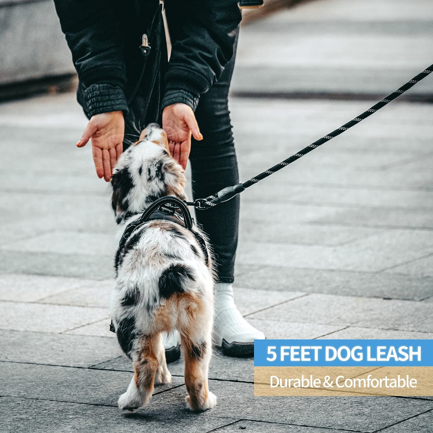 Dog Leash with Padded Handle and Reflective Threads, Available in 2/4/5/6 FT for Small, Medium, and Large Dogs (5FT-1/2'', Black)