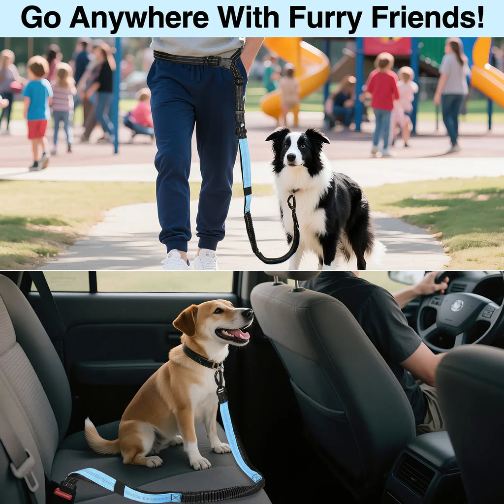Pawaboo Hands-Free Dog Leash and Car Seatbelt - Shock-Absorbing Bungee Crossbody Design for Walking and Travel, Featuring Reflective Straps and 360° Lockable Safety Buckle