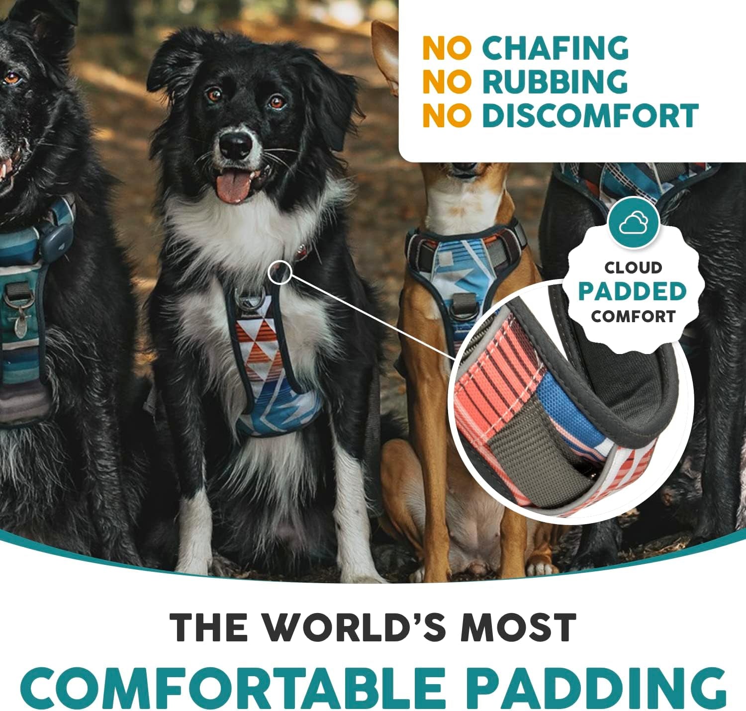 Embark Adventure Small Dog Harness - No-Pull Design, Reflective Trim, Military-Grade Nylon, Front Clip with Gel-Lined Handle
