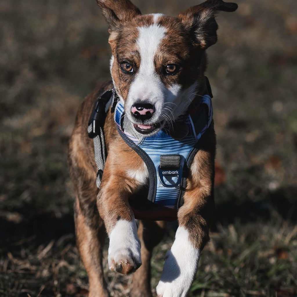Embark Adventure Small Dog Harness - No-Pull Design, Reflective Trim, Military-Grade Nylon, Front Clip with Gel-Lined Handle