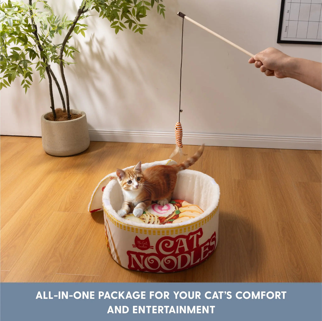 Ramen-Inspired Cat Bed