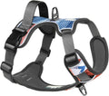Embark Adventure Small Dog Harness - No-Pull Design, Reflective Trim, Military-Grade Nylon, Front Clip with Gel-Lined Handle